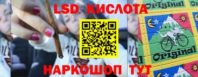 гашик Бузулук