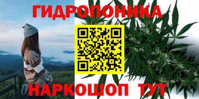 гашик Бузулук